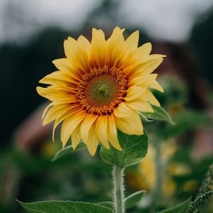 Meet your Posher, Kaydee